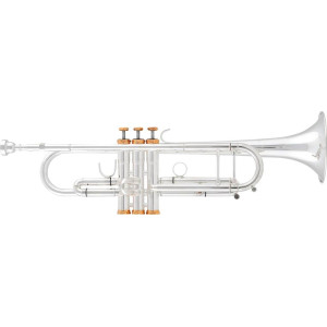 ARNOLDS & SONS ATR-5200GSG "Terra" Bb Trumpet
